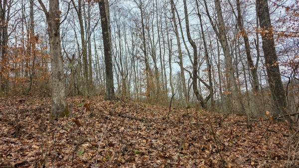 Lot 13 at Scenic Trails property photo