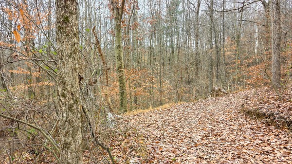 Lot 13 at Scenic Trails property photo