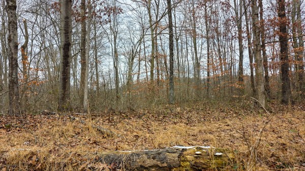 Lot 13 at Scenic Trails property photo