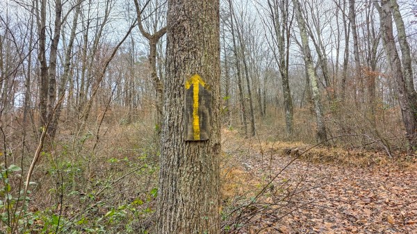 Lot 13 at Scenic Trails property photo