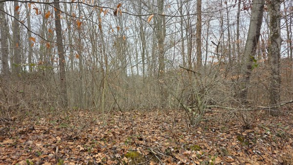 Lot 13 at Scenic Trails property photo