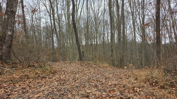 Lot 13 at Scenic Trails property photo