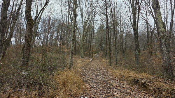 Lot 13 at Scenic Trails property photo
