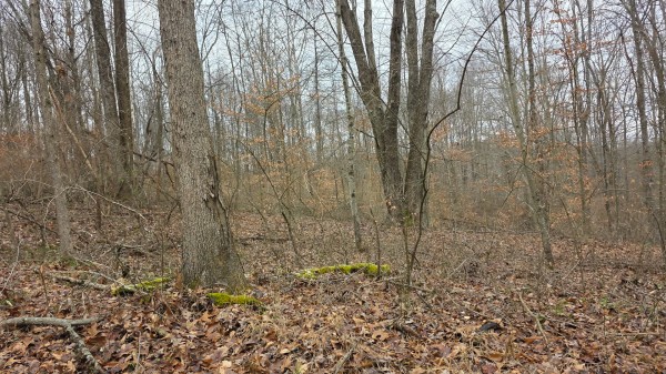 Lot 13 at Scenic Trails property photo