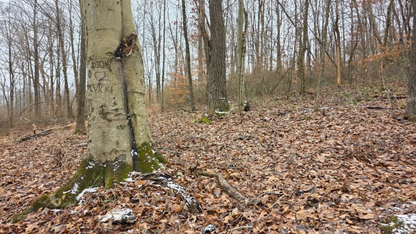Lot 13 at Scenic Trails property photo