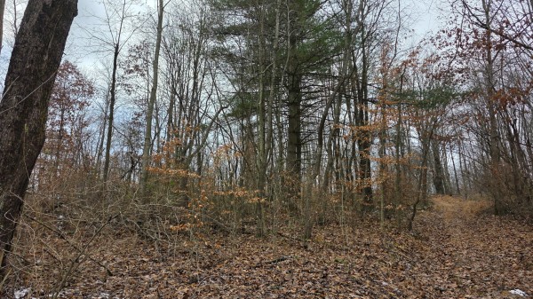 Lot 13 at Scenic Trails property photo