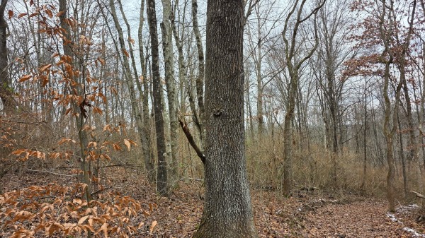 Lot 13 at Scenic Trails property photo