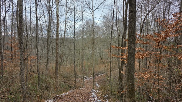 Lot 13 at Scenic Trails property photo
