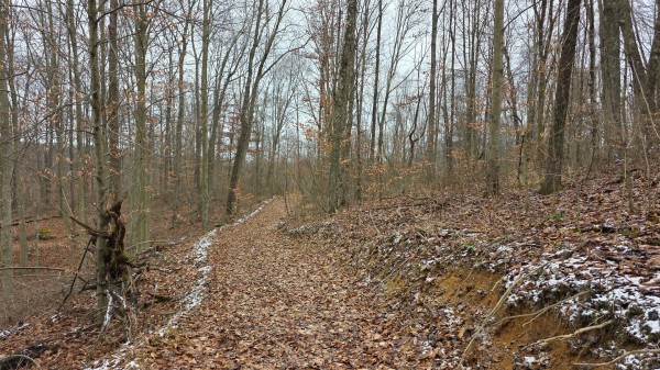 Lot 13 at Scenic Trails property photo