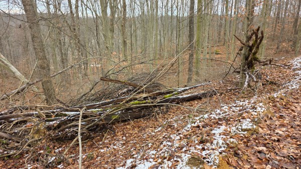 Lot 13 at Scenic Trails property photo