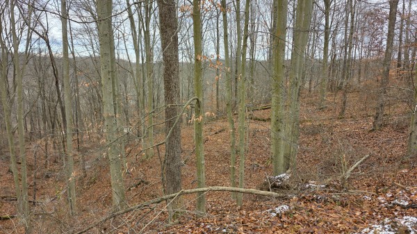 Lot 13 at Scenic Trails property photo