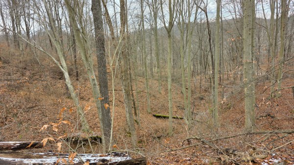 Lot 13 at Scenic Trails property photo