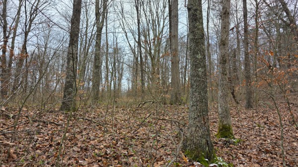 Lot 13 at Scenic Trails property photo