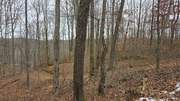 Lot 13 at Scenic Trails property photo