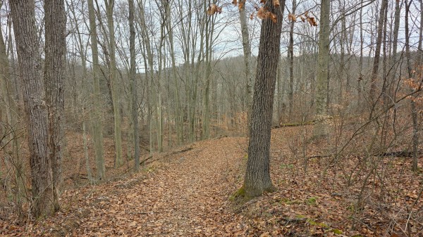 Lot 13 at Scenic Trails property photo