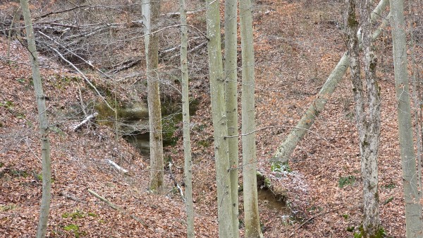 Lot 13 at Scenic Trails property photo