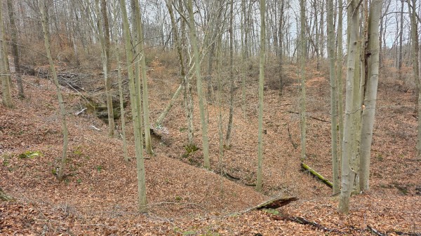 Lot 13 at Scenic Trails property photo