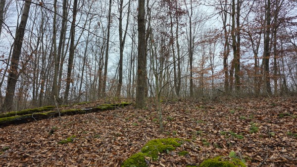 Lot 13 at Scenic Trails property photo