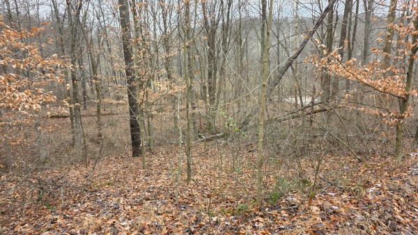 Lot 13 at Scenic Trails property photo