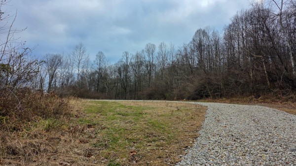 More of Lot 13 at Scenic Trails