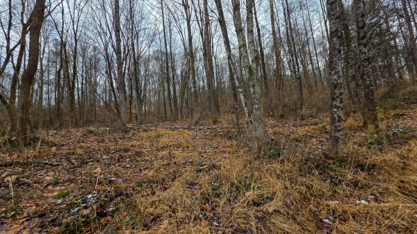 Lot 12 at Scenic Trails property photo