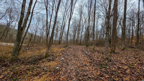 Lot 12 at Scenic Trails property photo