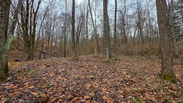 Lot 12 at Scenic Trails property photo
