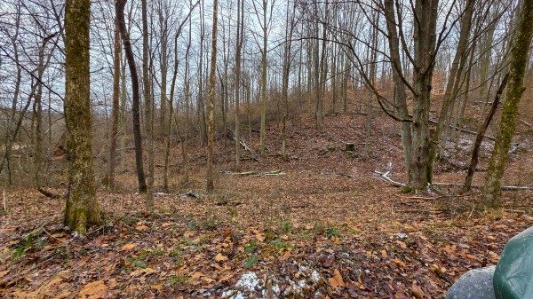 Lot 12 at Scenic Trails property photo
