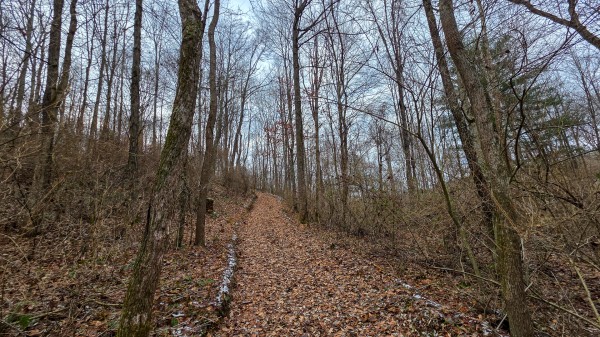 Lot 12 at Scenic Trails property photo