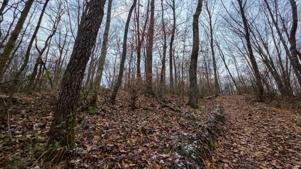 Lot 12 at Scenic Trails property photo