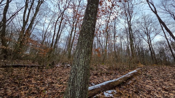 Lot 12 at Scenic Trails property photo