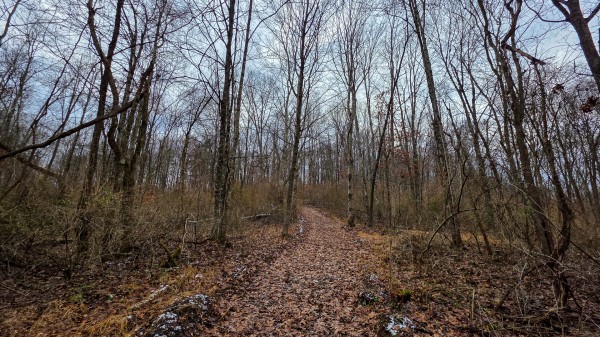 Lot 12 at Scenic Trails property photo