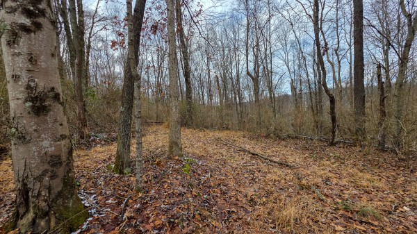 Lot 12 at Scenic Trails property photo