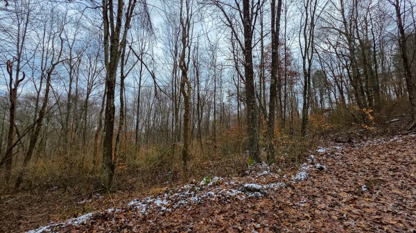 Lot 12 at Scenic Trails property photo