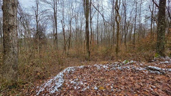 Lot 12 at Scenic Trails property photo