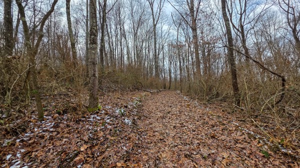 Lot 12 at Scenic Trails property photo