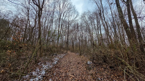 Lot 12 at Scenic Trails property photo