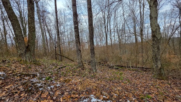 Lot 12 at Scenic Trails property photo