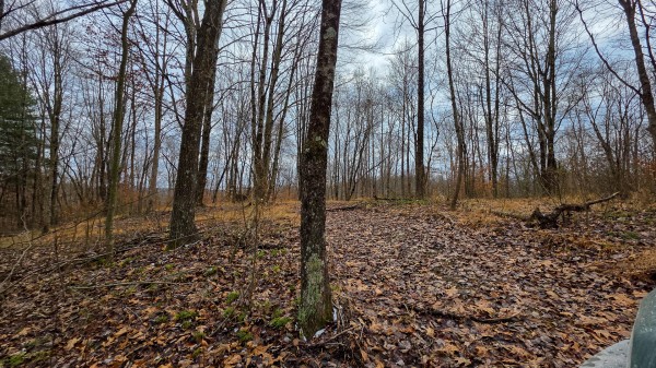 Lot 12 at Scenic Trails property photo
