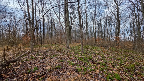 Lot 12 at Scenic Trails property photo