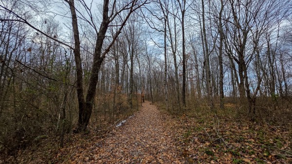 Lot 12 at Scenic Trails property photo