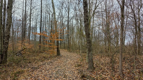 Lot 12 at Scenic Trails property photo