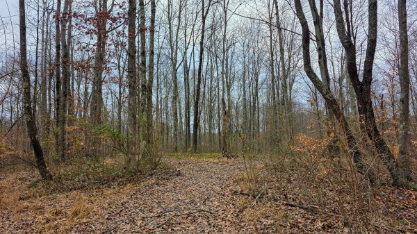 Lot 12 at Scenic Trails property photo