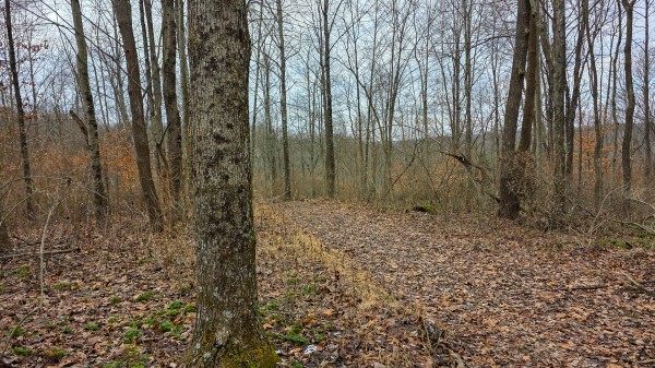 Lot 12 at Scenic Trails property photo