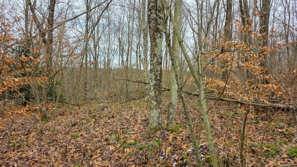 Lot 12 at Scenic Trails property photo