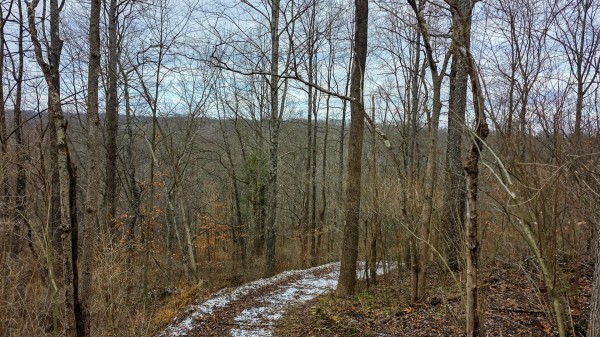 Lot 12 at Scenic Trails property photo