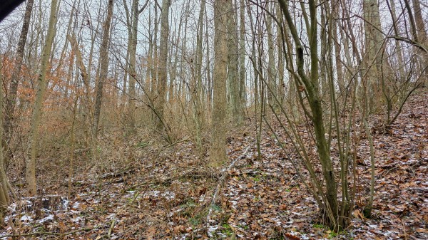 Lot 12 at Scenic Trails property photo