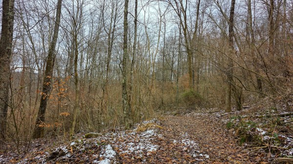 Lot 12 at Scenic Trails property photo