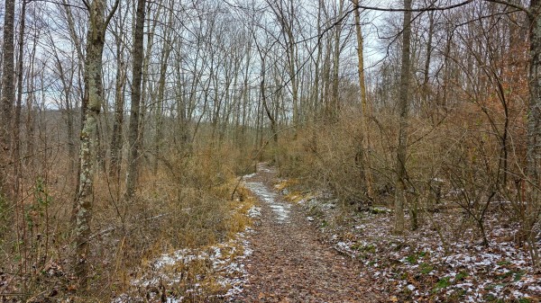 Lot 12 at Scenic Trails property photo