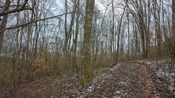 Lot 12 at Scenic Trails property photo